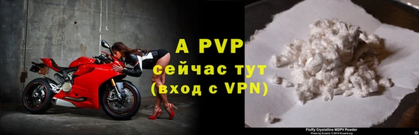 стафф Бронницы